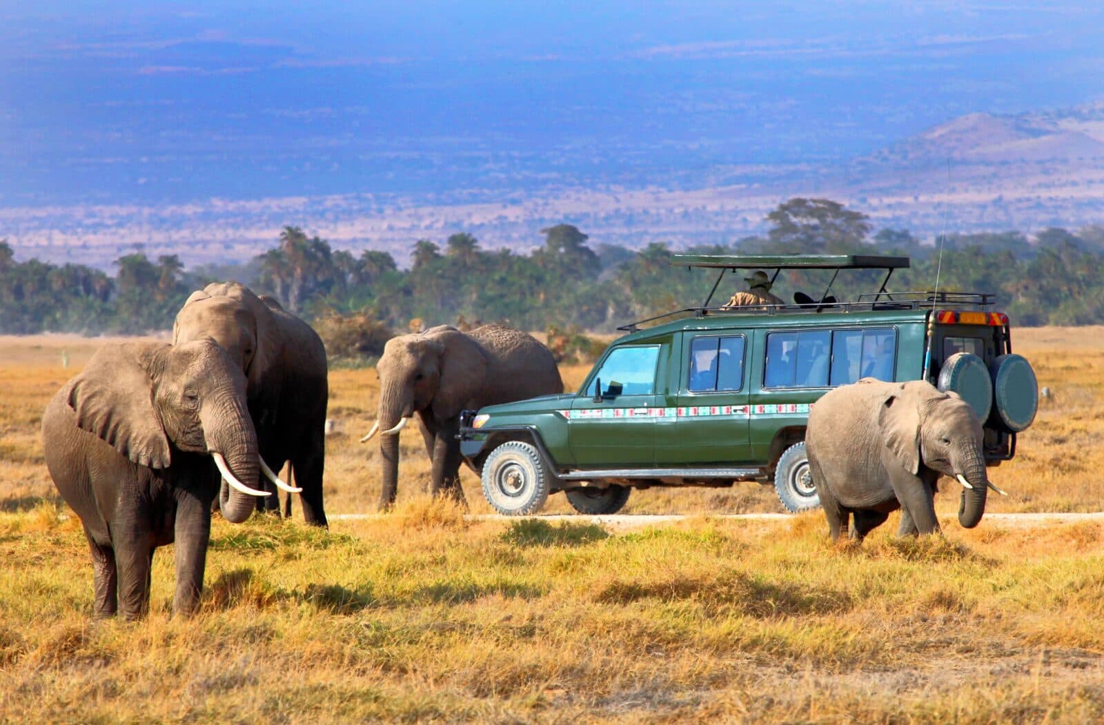 Open Serengeti grassland running unbroken to the horizon beneath a wide sky