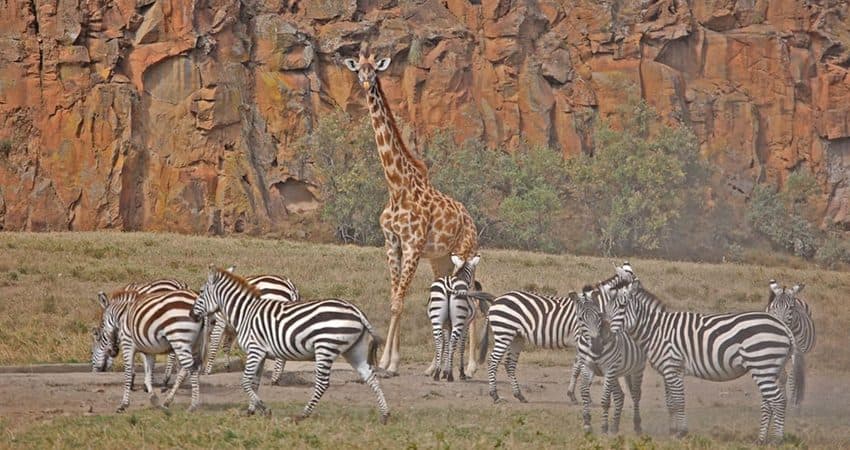 The red cliffs and open track of Hell's Gate National Park near Lake Naivasha