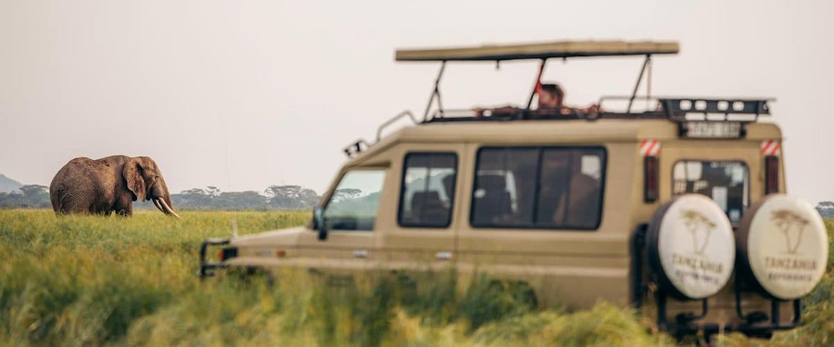 A safari vehicle with an open roof on a game drive