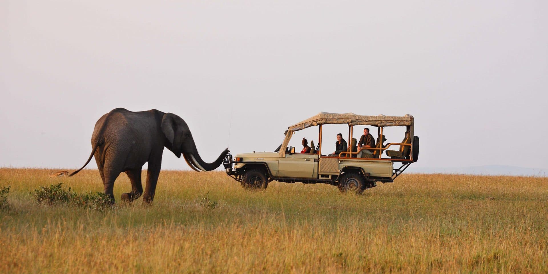 A safari vehicle with an open roof on a game drive