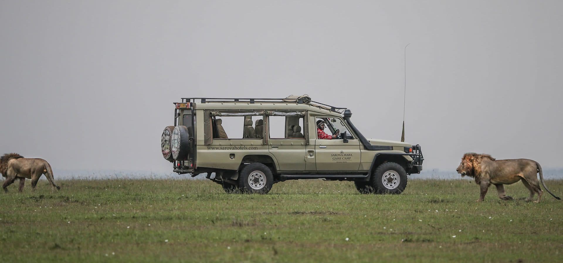 A safari vehicle with an open roof on a game drive