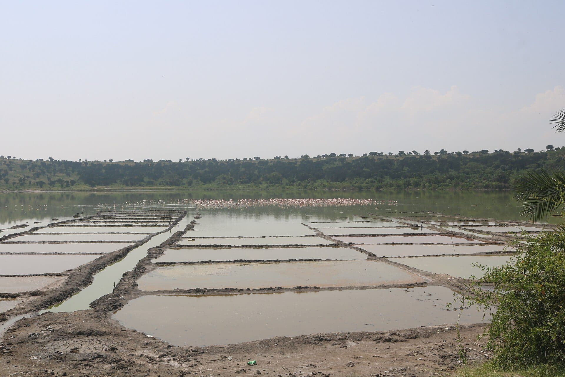 The salt pans of Lake Katwe in Queen Elizabeth National Park