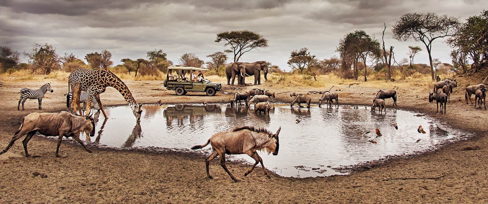 Open Serengeti grassland running unbroken to the horizon beneath a wide sky